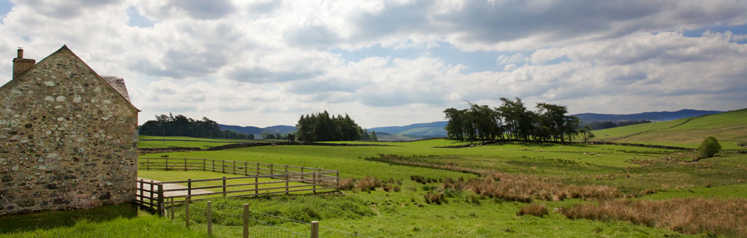 View from Woodend Cottage
