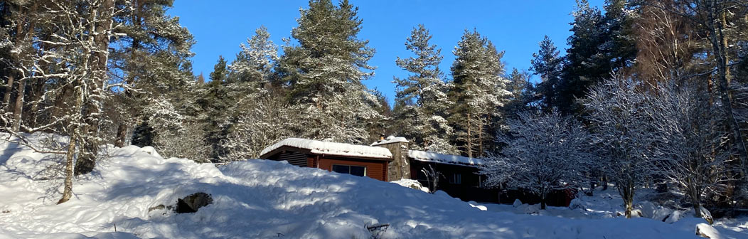 Elfin Lodge in Snow