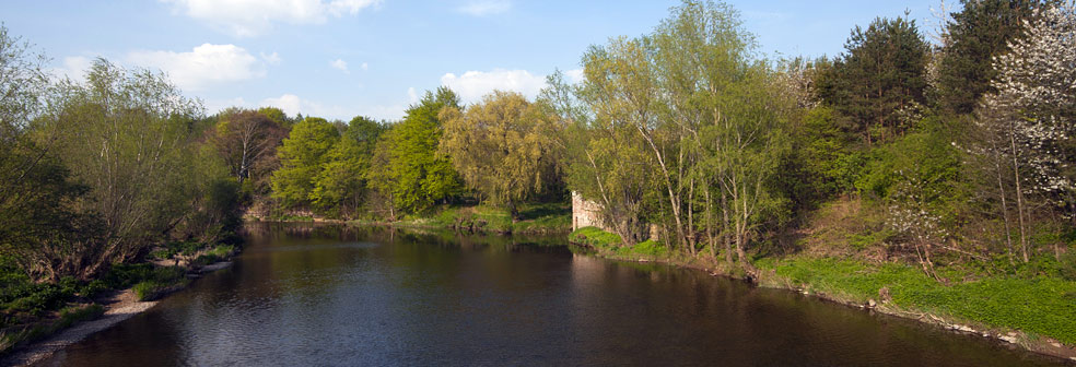 River Teviot