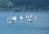 Boats on Loch Long