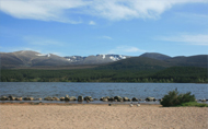 Cairngorms & Strathspey