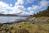 Shore of Loch Sunart