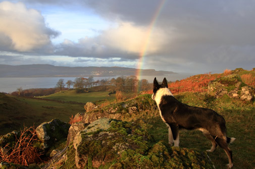 Drimnin Estate