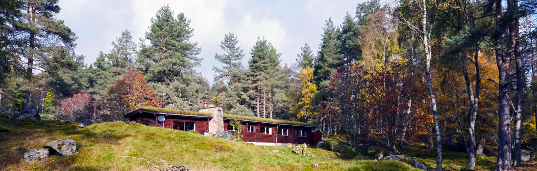 Elfin Lodge