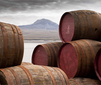 Whisky Barrels