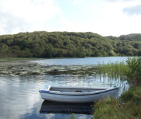 Fishing on the Estate
