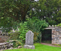 The Site of the Fortingall Yew