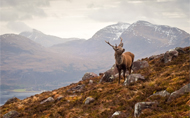 Lochalsh/Wester Ross