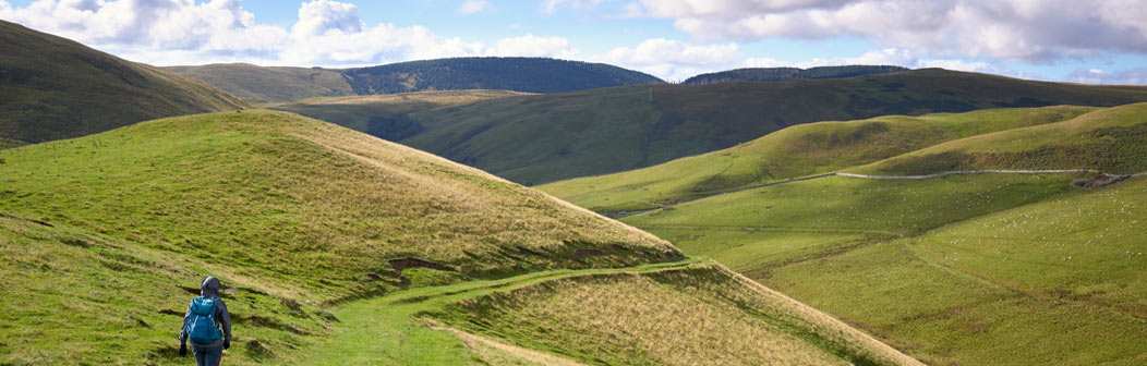 Walking in the Cheviot hills
