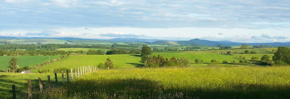 View over West Cottage to Minto Hills and Cheviots