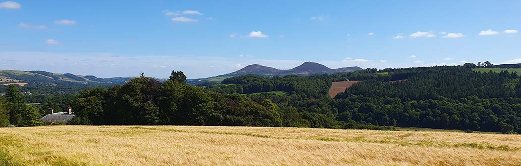 View over Monymusk