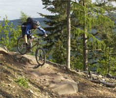 Newcastleton Mountain Biking