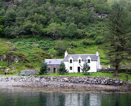 The Wee House