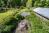 Cottage garden