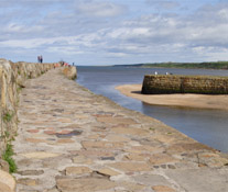 St Andrews Harbour