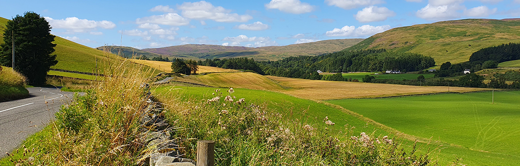 Ettrick Valley