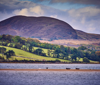 The Pretty Coastline