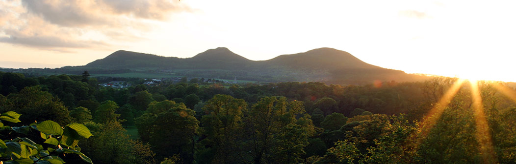 View to Eildon Hills