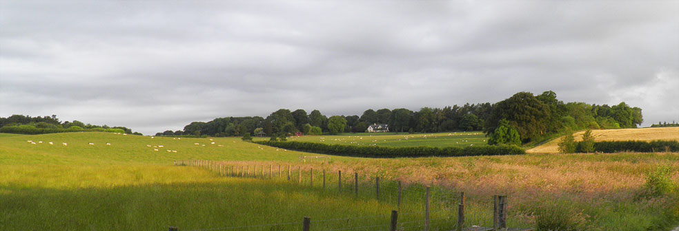 Whitmuir Estate