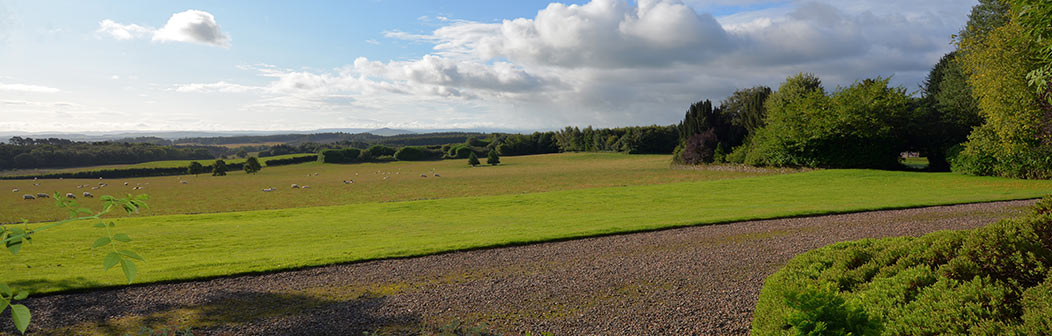 View from Whitmuir House