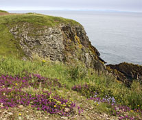 Burrow Head near Isle of Whithorn