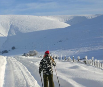 Approaching the Cottage